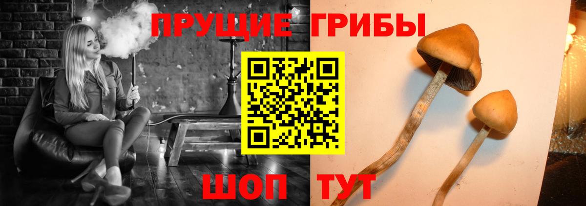 Галлюциногенные грибы прущие грибы Усинск